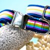 Small Dog Collar "Surfer" (25 - 40cm) - Image 3