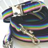 Small Dog Collar "Surfer" (25 - 40cm)