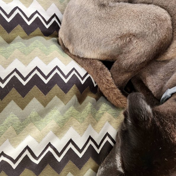 ZigZag Green / Small & Medium - Image 4