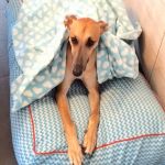 My First Own Bed!