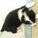My First Bed