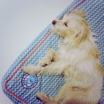 Afternoon nap in style
